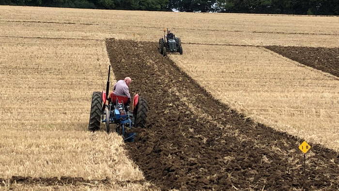 ploughing-match-1-thin